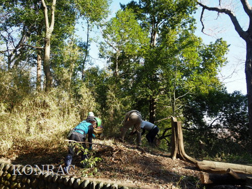 ���R��y��