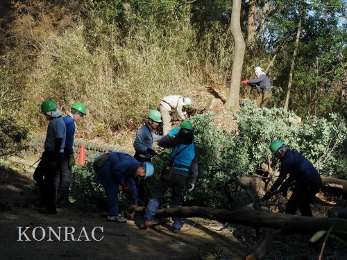 ���R��y��