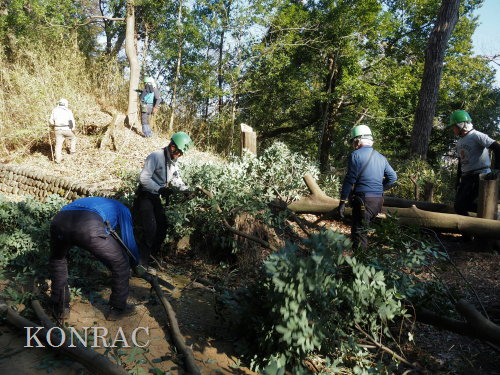 ���R��y��