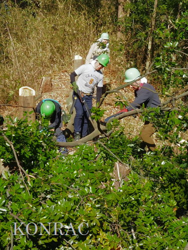 ���R��y��