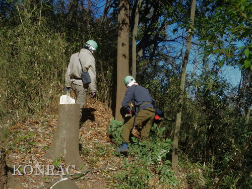 ���R��y��