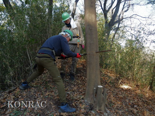 ���R��y��