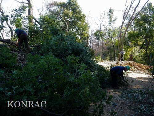 ���R��y��