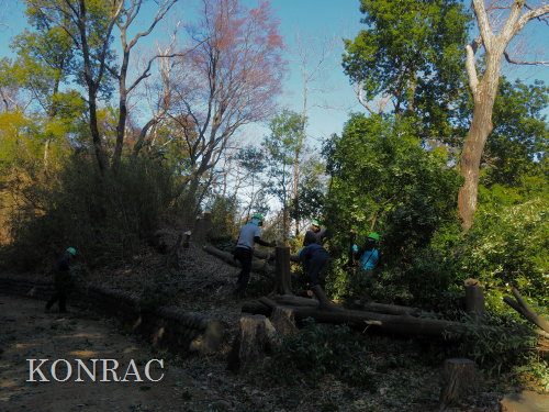 ���R��y��