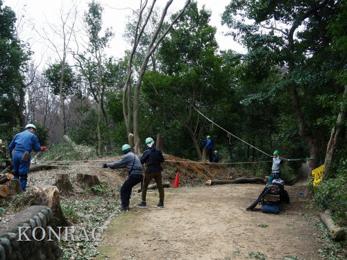 ���R��y��