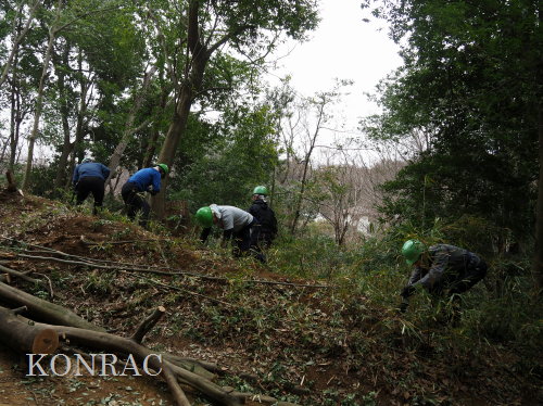 ���R��y��