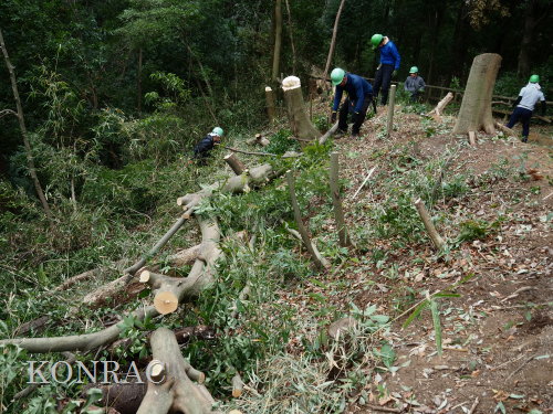 ���R��y��