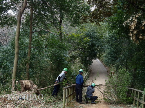 ���R��y��