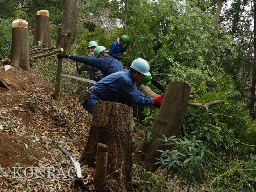 ���R��y��