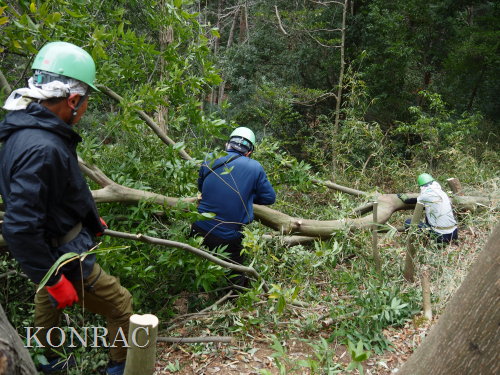 ���R��y��