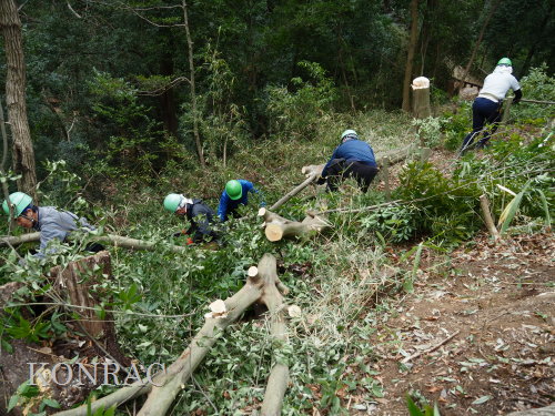 ���R��y��