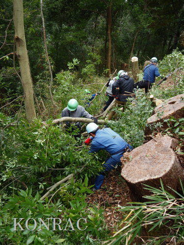 ���R��y��