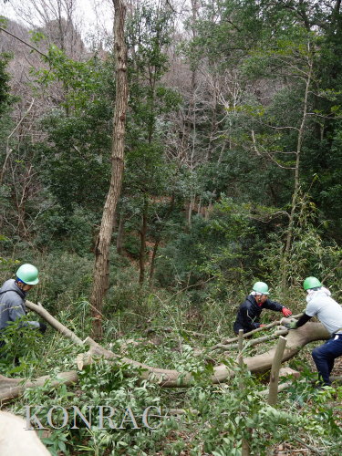 ���R��y��