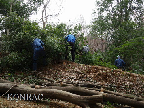 ���R��y��