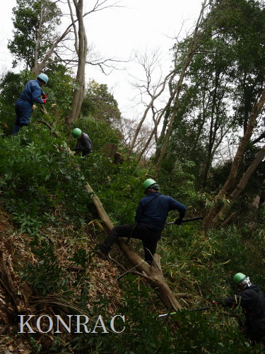 ���R��y��