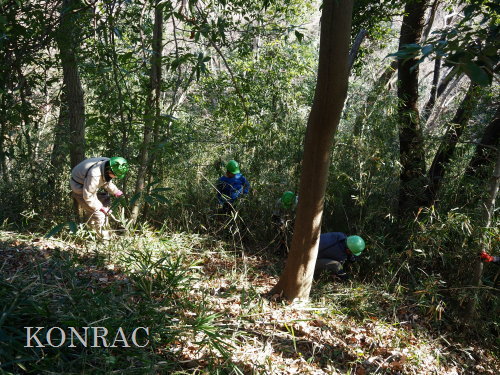 ���R��y��