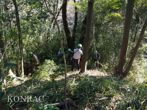 ���R��y��