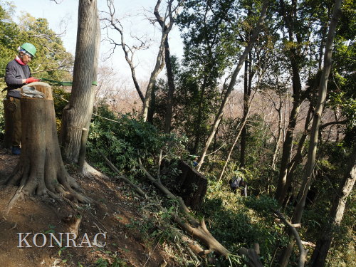 ���R��y��