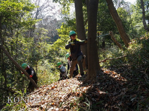 ���R��y��