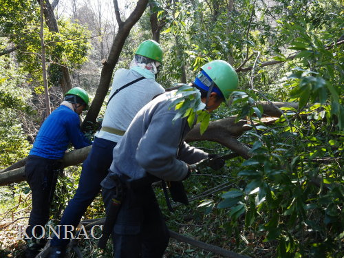 ���R��y��