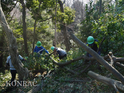 ���R��y��