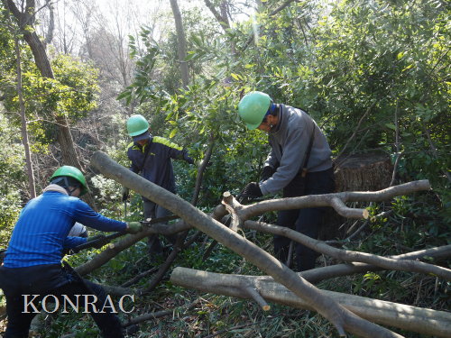 ���R��y��