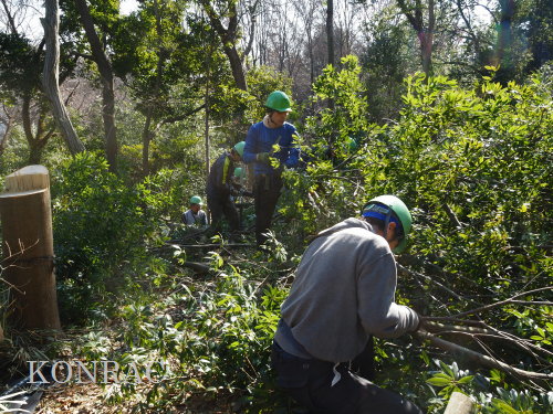 ���R��y��