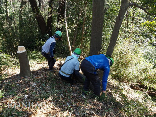 ���R��y��