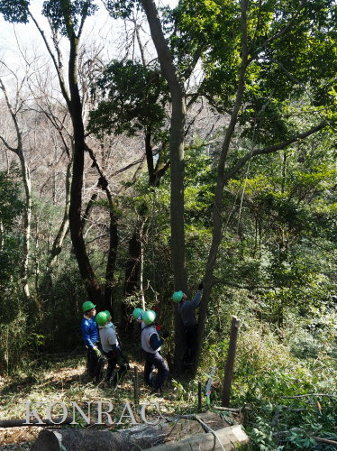 ���R��y��