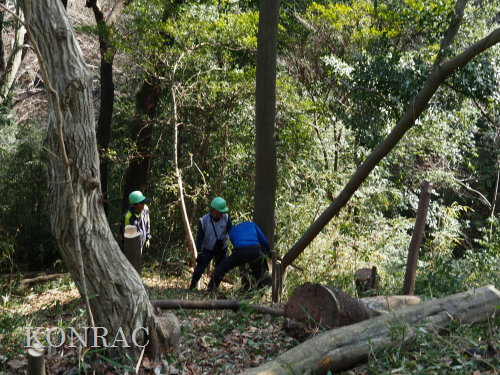 ���R��y��