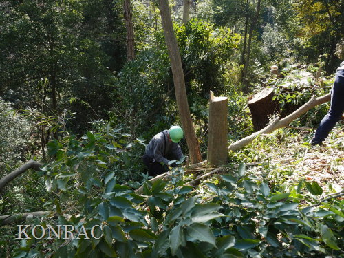 ���R��y��