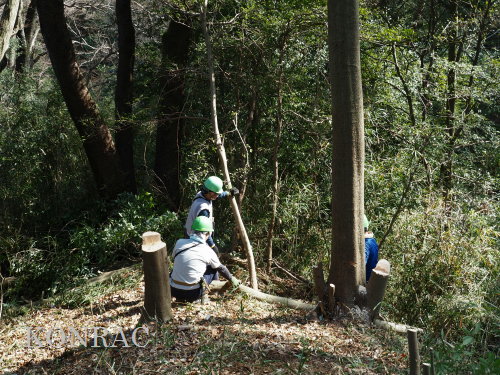 ���R��y��