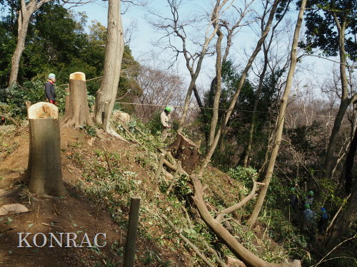 ���R��y��