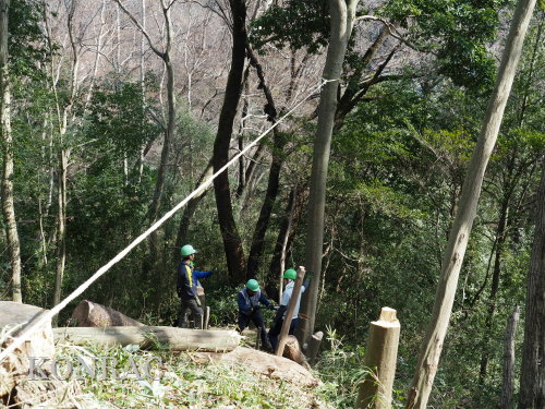 ���R��y��