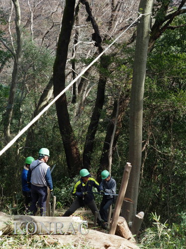 ���R��y��