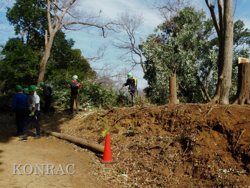 ���R��y��