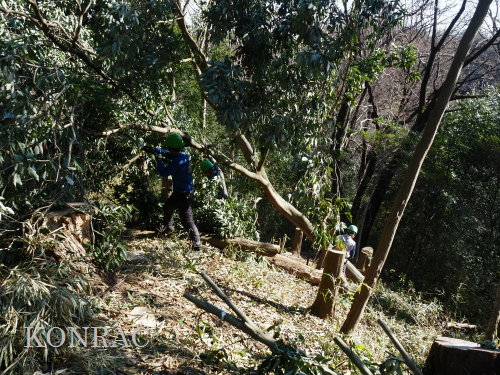 ���R��y��