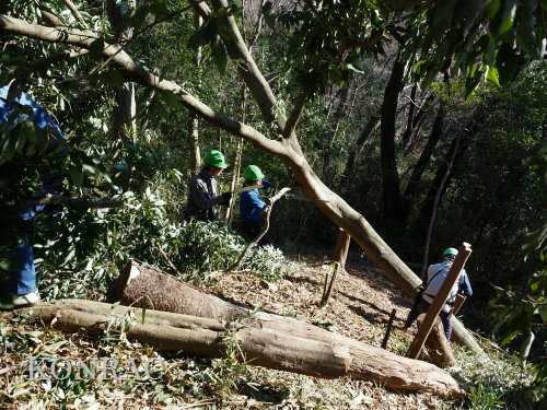 ���R��y��