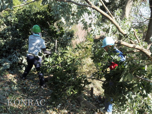 ���R��y��