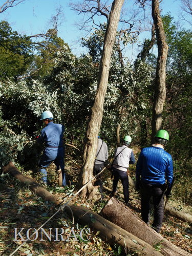 ���R��y��