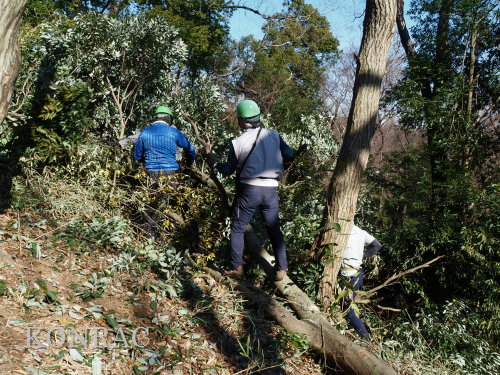 ���R��y��