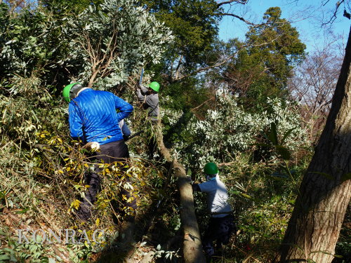 ���R��y��