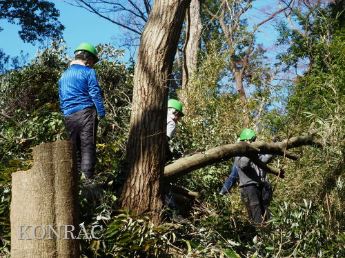 ���R��y��