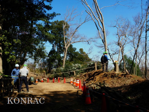 ���R��y��