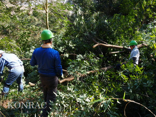 ���R��y��