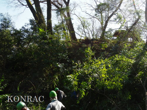 ���R��y��