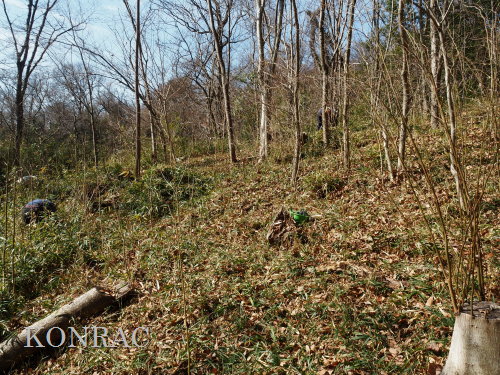 ���R��y��