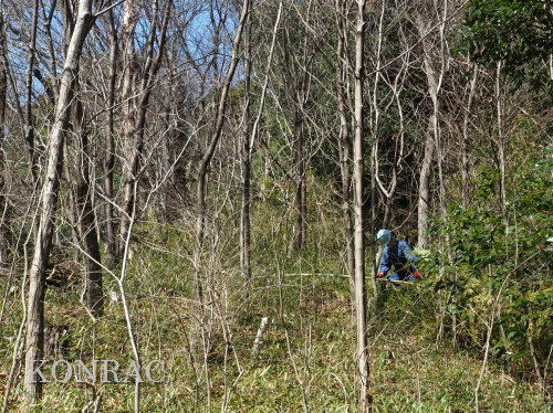 ���R��y��