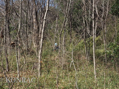 ���R��y��