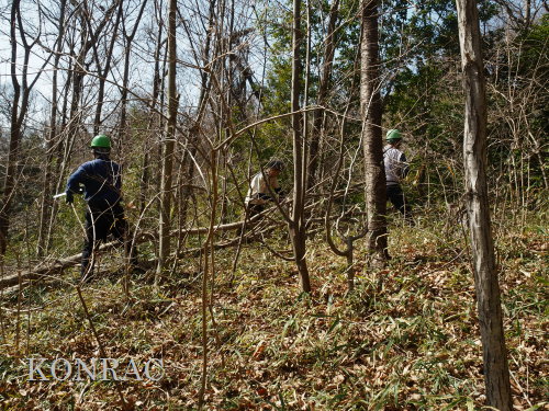 ���R��y��